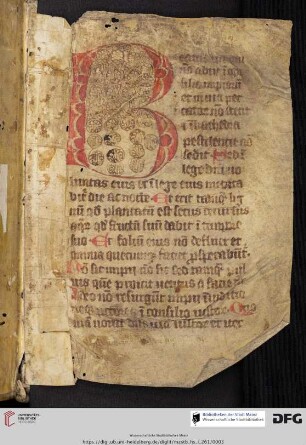 Psalterium non feriatum