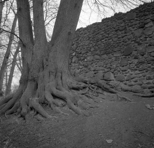 Stadtmauer