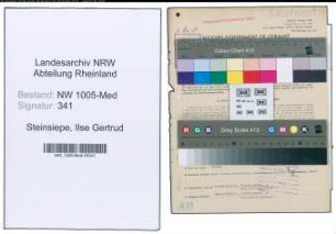 Entnazifizierung Ilse Gertrud Steinsiepe , geb. 22.05.1920 (Laborantin)