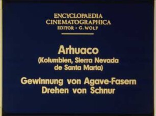 Arhuaco (Kolumbien, Sierra Nevada de Santa Marta) - Gewinnen von Agave-Fasern, Drehen von Schnur