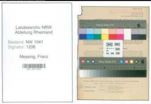Entnazifizierung Franz Messing , geb. 06.10.1902 (Steuerberater)