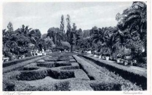 Palmengarten im Kurpark