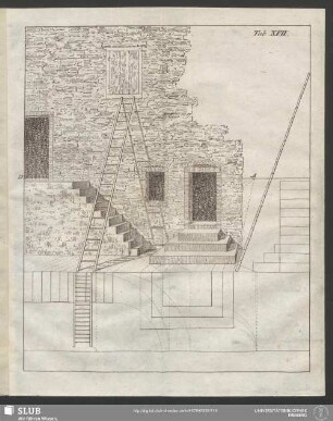 Tab. XVII