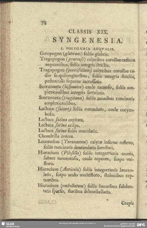 Classis XIX. Syngenesia