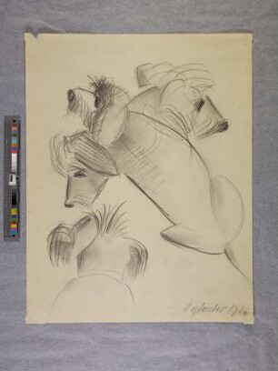 o. T. (Dackel; aus dem Zoo-Zeichnen an der Burg Giebichenstein in Halle)