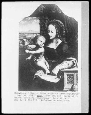 Die Kirschmadonna