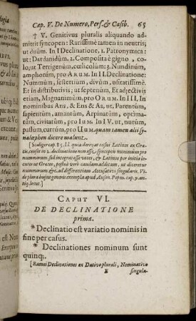 Caput VI. De Declinatione prima.