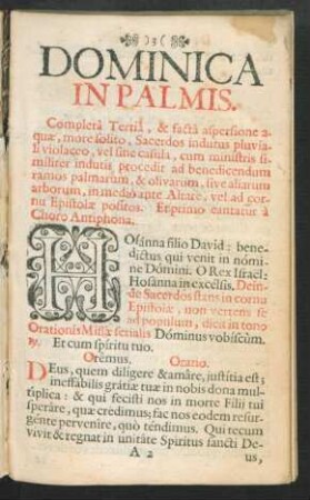 Dominica In Palmis