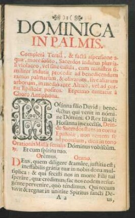 Dominica In Palmis