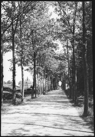 Moritzburg. Allee nach dem Fasanenschlößchen
