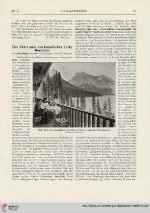 15: Eine Fahrt nach den Kanadischen Rocky Mountains