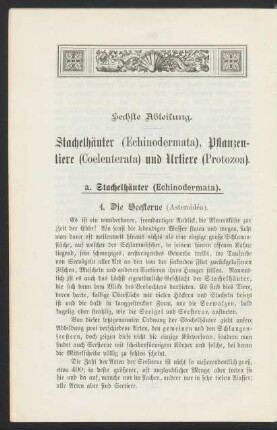 Sechste Abteilung. Stachelhäuter (Echinodermata), Pflanzentiere (Coelenterata) und Urtiere (Protozoa).