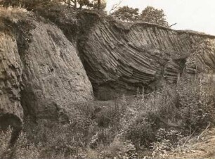 Oberlausitz. Der Eisenberg bei Guttau. Basaltklotz im östlichen Bruch
