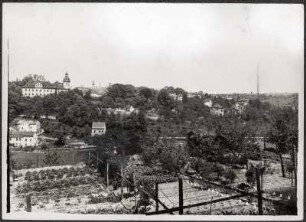 Eisenberg (Thüringen). Ortsansicht mit Schloss