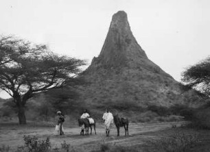 Amba Toquile : Blick auf den Amba Toquile, in der Hasamo Ebene in Eritrea