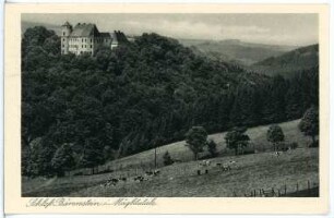 Bärenstein. Schloss