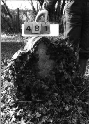 Grabstein 481 (Index: 100093130) Zustand: stark verwittert, Inschrift auf Vorderseite ist verloren Maße HxBxT: 72x58x22 cm Besonderheit: Doppelkindergrab für Geschwister: Grabstein 481