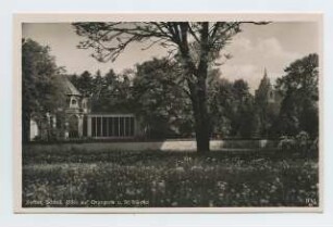 Orangerie im Schlosspark, Zerbst: Ansicht