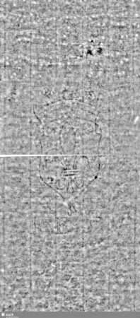Lilienschild + IESV / LW = S.11/12+25/26