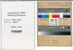 Entnazifizierung Luise Naab , geb. 20.06.1906 (Krankenschwester)