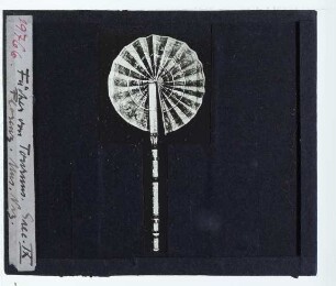 karolingisch, Flabellum aus Tournus (Florenz Bargello Carr. 31)