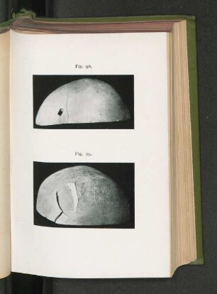 Fig. 98. Fig. 99.