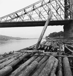 Dresden. Stehendes Floß (Schrick ist gesetzt) dicht bei der Loschwitzer Brücke