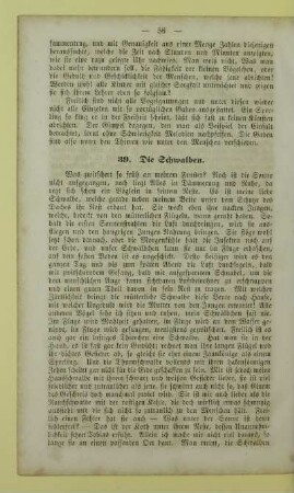 39. Die Schwalben