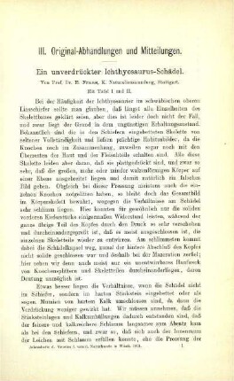 Ein unverdrückter Ichthyosaurus-Schädel