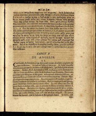 Caput V. De Angelis.