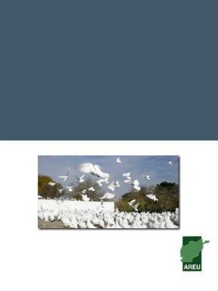Searching for my homeland: dilemmas between borders - experiences of young Afghans returning "home" from Pakistan and Iran