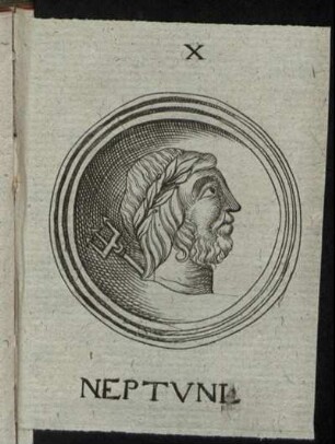 Neptunus