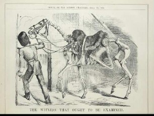 The witness that ought to be examined