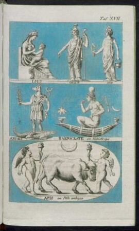 Taf. XVII. Fig. 1. - Fig. 5.
