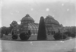 Palmenhaus