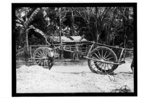 Transportkarren : Thailand. Karren zum Transport von Baumaterial, 1908/1913