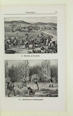 13. Weinbau an der Hardt