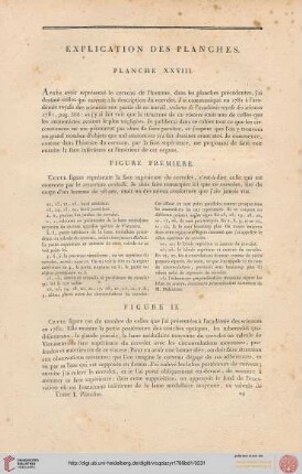 Explication des planches