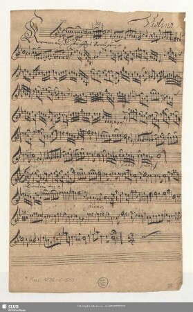 Violino
