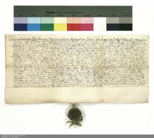Revers Kaspar Friedrich Schabs und weiterer namentlich genannter Personen bezüglich der Belehnung mit der Wüstung Niedlingen durch Balthasar [von Dernbach], Abt von Fulda