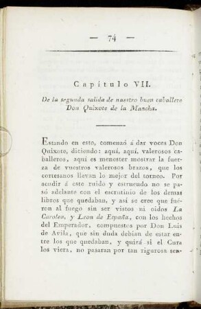 Capitulo VII.