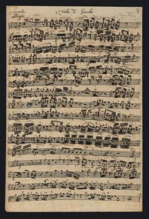 Viola di gamba