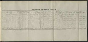 Belastung durch die Unfälle während des Jahres 1916.