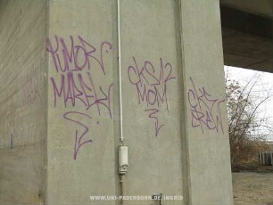 TUMOR MAREK CKS12 MOM CKS CReW