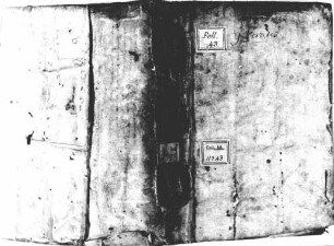 Constantini Africani Cassinensis montis monachi Viaticum, libri I-VI et initium septimi [u.a.] - BSB Clm 11343