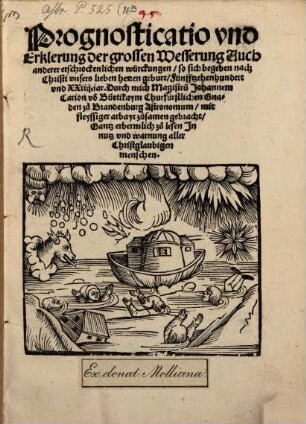 Prognosticatio vnd Erklerung der grossen Wesserung ... so sich begeben ... 1524
