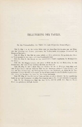 Erläuterung der Tafeln
