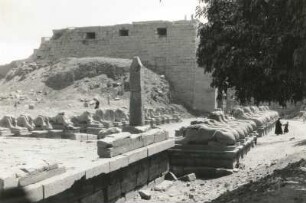 Karnak. Amontempel. Sphinxallee (1550ante / 1070ante)