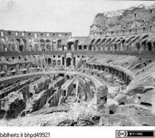 Amphitheatrum Flavium / Colosseum