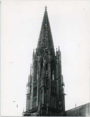 Westturm des Freiburger Münsters